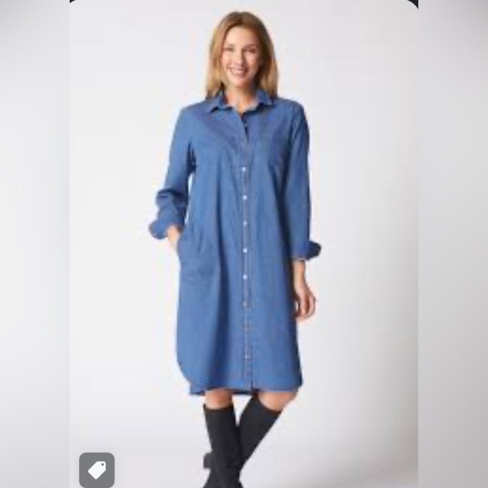 Standard Grace Nwt denim dress